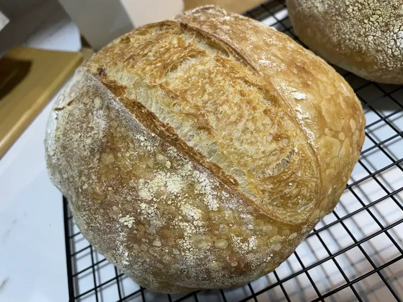 Pão de fermentação natural